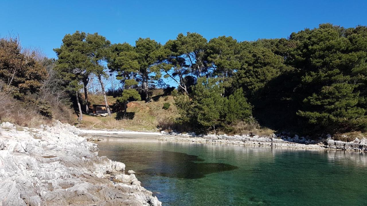 Casa Matea - 90 M From The Sea, New Private Swimming Pool Apartment