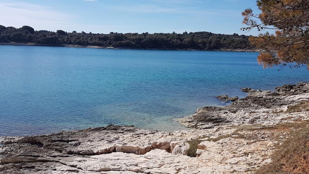 Casa Matea - 90 M From The Sea, New Private Swimming Pool